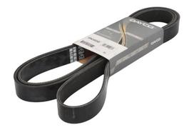 V formos rumbuoti diržai DAYCO DAY8PK2482HD