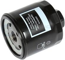 Alyvos filtras Professional Parts 22023318