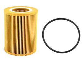 Alyvos filtras Professional Parts 22430013
