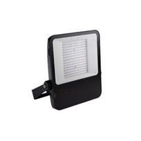 LED lauko šviestuvas FL Agor 150W