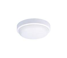 Solight WO750 - LED Lauko lubinis šviestuvas LED/20W/230V IP54