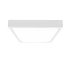 LED Lauko lubinis šviestuvas su jutikliu LED/30W/230V 4000K IP44 baltas