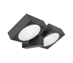 Rabalux 77101 - LED sieninis lauko šviestuvas TELDE 2xLED/7W/230V IP54 antracitas