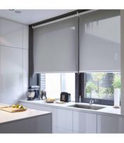 Permatomi Roletai „Roll light grey“ (100x200 cm)