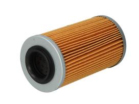 CHAMPION Alyvos filtras HF556 COF456
