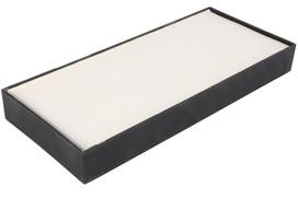 Oro filtras FLEETGUARD AF55819