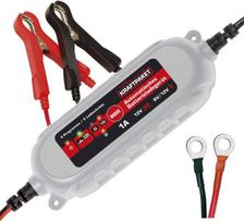 Automobilio akumuliatoriaus įkroviklis Dino Power 1A-6V/12 V