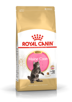 meskenas - Royal Canin Kitten Maine Coon 10 kg - 2 nuotrauka
