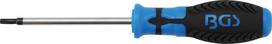 Bgs Technic Atsuktuvas | T-Star (Torx) T25 (4920)