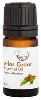 Atlasinių kedrų eterinis aliejus AMRITA, 5 ml