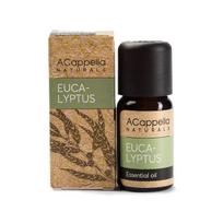 Eterinis aliejus „Eukaliptas“, 10 ml