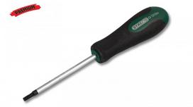 Atsuktuvas TORX T27x100mm magnetinis