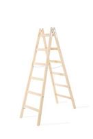 Kopėčios dvipusės medinės, 330 cm, 184 cm