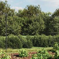 Pirkti Vielinė tinklinė tvora vidaXL 2x25m - Photo 2