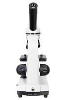 mikroskopas 40x - Levenhuk Rainbow D2L - 6 nuotrauka