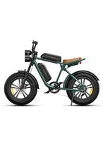 ENGWE M20 1000W