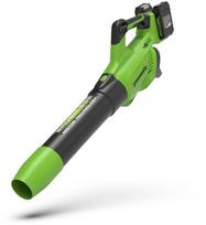 akumuliatorius 48v - Greenworks GD24X2AB; 48 V - 1 nuotrauka