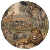 fototapetai tapetai - WallArt Tapetai Animals of Africa, 142,5cm, apskriti - 2 nuotrauka