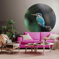 fototapetai tapetai - WallArt Tapetai The Kingfisher, 142,5cm, apskriti - 1 nuotrauka