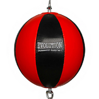 kriauses - Bokso kriaušė Evolution TG-240 - 2 nuotrauka