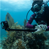gopro hero 13 kamera - GoPro Hero 13 Black Creator Edition - 5 nuotrauka