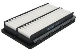 Oro filtras FILTRON AP 198/5