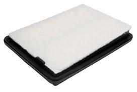 Oro filtras FILTRON AP 124/3