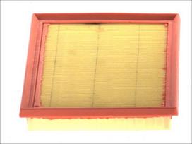 Oro filtras FILTRON AP 170/3