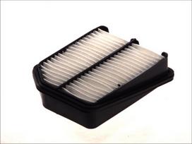 Oro filtras FILTRON AP 173/2