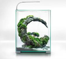 Akvariumas Aquael Shrimp Set Smart Day&Night 30, 30 l