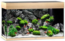 Akvariumas Juwel Rio LED 125l, šviesaus medžio, su įranga