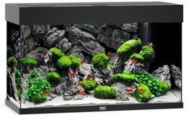Akvariumas LED Rio 125 L, juodas, 81x36x50cm