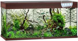 Akvariumas, Juwel Rio LED 180L, tamsus medis