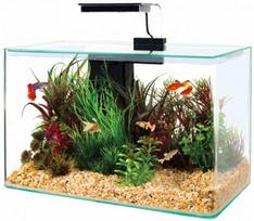 Akvariumas Zolux Clear Aqua Kit 309018, skaidrus/juodas, su įranga, 17 l