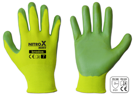 Sodo ir darbo pirštinės Bradas NITROX MINT, 8 dydis, 6 vnt.