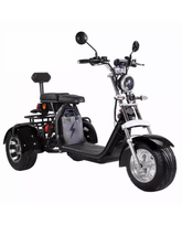 Elektrinis Triratis CP-3, 2000W, 20Ah Li