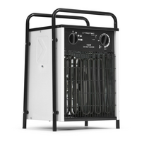 Elektrinis šildytuvas Trotec TDS 50
