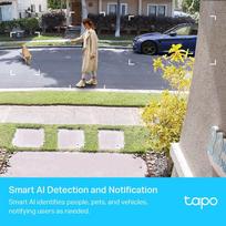 tp link tapi - NET CAMERA SMART H.264/TAPO C420S2 TP-LINK - 4 nuotrauka