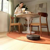 roomba dulkiu irobot - iRobot Roomba j9 Plus - 14 nuotrauka