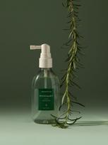rozmarinas - AROMATICA Rosemary Root Enhancer, 100ml - 2 nuotrauka
