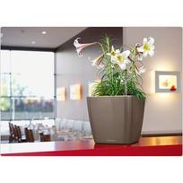 LECHUZA Quadro 21 Shiny Taupe