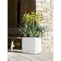 LECHUZA Cube LS Color 35, white