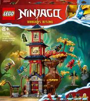 zaislai drakonai - LEGO Ninjago drakono jėgos šventykla 71795 - 1 nuotrauka