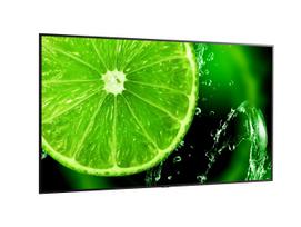 nec monitor - NEC MultiSync E988 - 3 nuotrauka