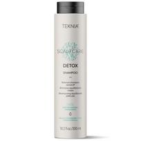 Šampūnas plaukams Teknia Detox Shampoo, 300 ml LAK44322