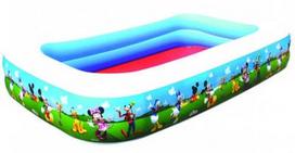 Bestway Family Pool  91008