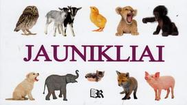 Jaunikliai