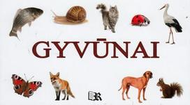 spalvinimo knyga vandeniu - Gyvūnai - 1 nuotrauka