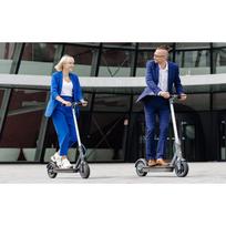 elektrinis paspirtukas 350w - Motus Scooty 8.5 Turquoise Fit Lovers Edition - 4 nuotrauka