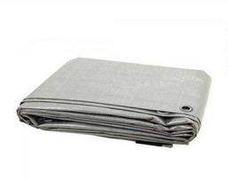 Lauko tentas, 120 g/m2, 6x8 m, sidabrinis